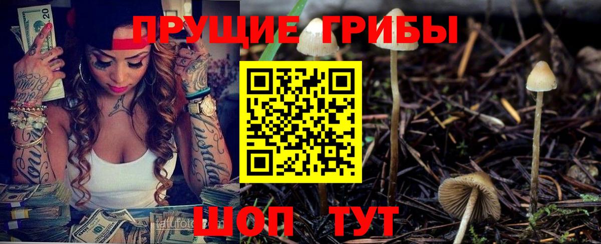 Галлюциногенные грибы Psilocybe  Вход с VPN  Старая Русса  Галлюциногенные грибы мухоморы 